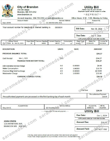 Canada City of Brandon utility bill template in Word and PDF formats